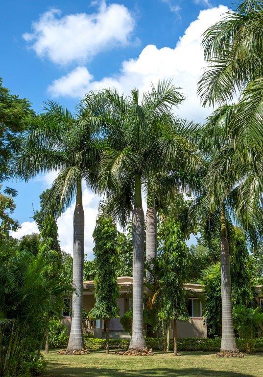 Tiger'S Den Resort Bandhavgarh National Park エクステリア 写真
