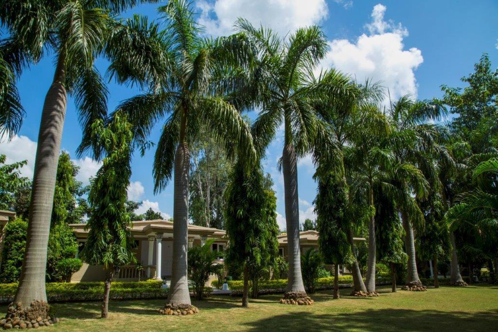 Tiger'S Den Resort Bandhavgarh National Park エクステリア 写真