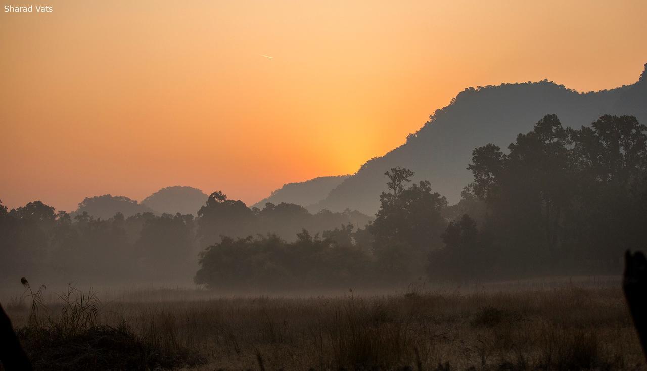 Tiger'S Den Resort Bandhavgarh National Park エクステリア 写真